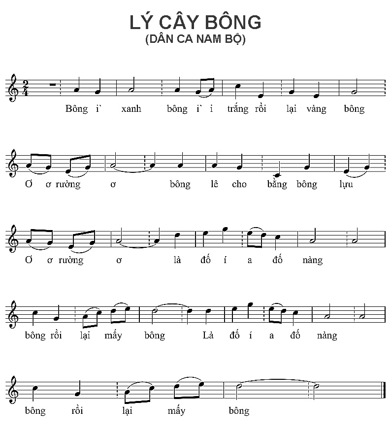 Lý cây bông sheet